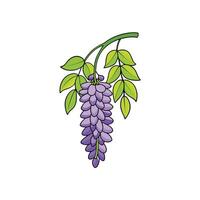 Stylized wisteria branch with green leaves and purple flowers vector