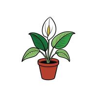 Potted peace lily illustration with vibrant green leaves and bloom vector