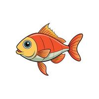 Cartoon goldfish illustration on a white background vector