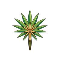 Stylized illustration of a tropical palm tree design vector