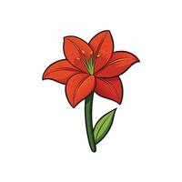 Bold red cartoon lily flower illustration on white backdrop vector