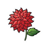 Vibrant red Dahlia flower with a single leaf illustration vector