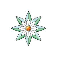 Eight pointed flower with white petals and green leaves vector