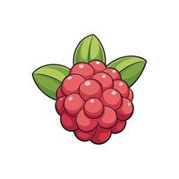 Isolated raspberry illustration with vibrant colors on a white background vector