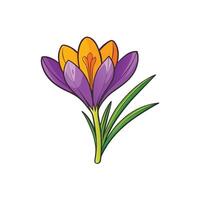 Bright cartoon style crocus flower in full bloom image vector