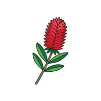 Illustration of a red flower cone with green leaves vector