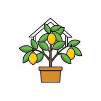 Potted Lemon Tree Illustration with Outline of House Shape vector