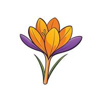 Stylized Crocus Flower in Spring Bloom Isolated on White vector
