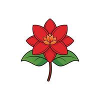 Vibrant red flower illustration with leaves and stem detail vector