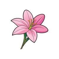 Pink lily flower illustration with bold outlines and details vector