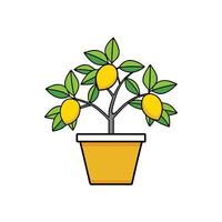 Lemon tree in pot illustration with flat design style vector