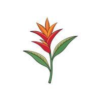 Bright tropical flower illustration with leaves and stem art vector