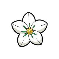 Isolated FivePetal White Flower with Golden Center Illustration vector