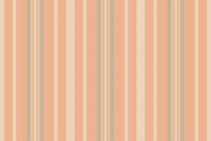 Row seamless lines fabric, skill textile vertical . Vaterial stripe texture pattern background in orange and old lace colors. vector