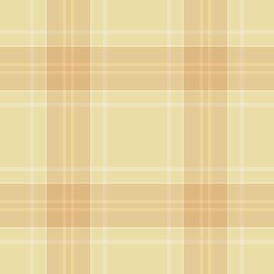 Velvet seamless tartan, hotel fabric pattern plaid. Quiet background texture check textile in light and amber colors.