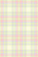 Pastel plaid pattern. Delicate, soft color palette evokes feelings of calmness and gentleness. Ideal for textile designs, wallpapers, or branding projects needing a subtle yet stylish touch. vector