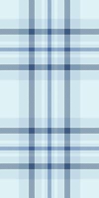 Mixed texture tartan plaid, halftone pattern seamless. Oriental background check fabric textile in light and blue colors.