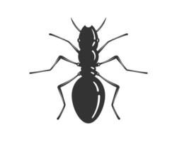 Detailed illustration of an ant, isolated. Symbol of teamwork, persistence, and diligence. Ideal for scientific, educational, or design projects. vector