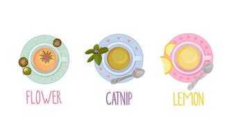Hot aromatic tea set. Top view of teacup with flower, catnip, lemon tea illustration vector