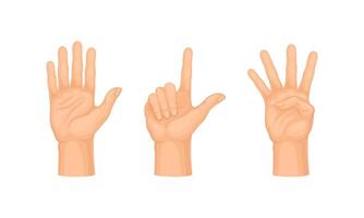 Human hand gestures set. Open hand doing counting gestures illustration vector