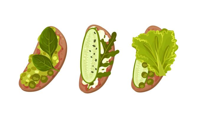 Top view of sandwiches with vegetables and culinary plants set. Healthy breakfast illustration
