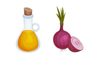 Olive oil bottle and fresh red onion illustration on white background vector