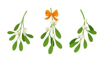 Snowberry branches with ripe berries set illustration on white background vector