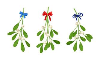 Snowberry branches with ripe berries decorated with blue and red bows set. Small twigs of shrub with white fruit illustration vector