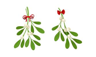 Snowberry branches with berries decorated with red bows set. Small twigs of shrub with white fruit illustration vector