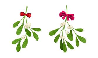 Snowberry branches with berries set. Small twigs of shrub with white fruit decorated with bows illustration vector