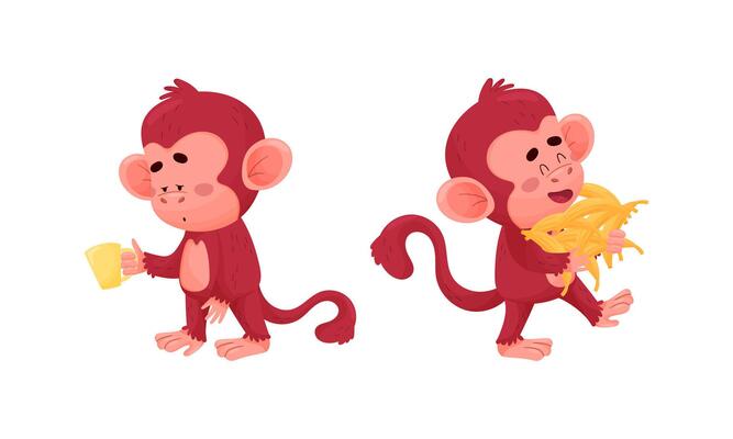 Cute funny monkeys actions set. Little baby animal characters illustration