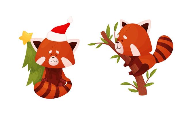 Red panda celebrating Christmas and sitting on tree branch set. Cute wild animal character in different actions illustration