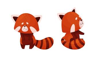 Red panda in different actions set. Cute wild baby animal, side and front view illustration vector