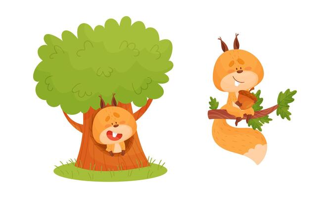 Cute squirrel various activities set. Lovely forest animal character sitting in hollow tree and tree branch illustration