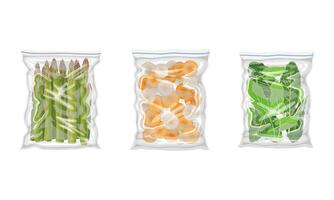Frozen Carrot and Asparagus Prepackaged and Ready to Culinary Use Set vector