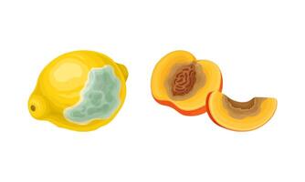 Decomposed Stinky Rotten Fruit with Peach and Lemon Having Bad Spots Set vector