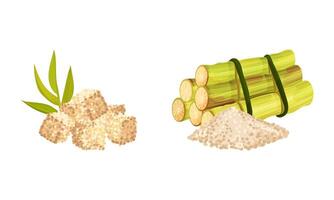 Tied Sugarcane Fibrous Stalk and Pile of Cubes Set vector