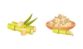 Sugarcane Fibrous Stalk and Pile of Cubes in Bowl Set vector