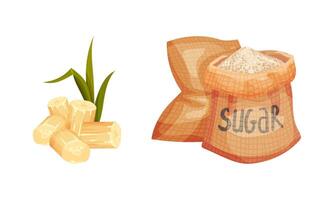 Sugarcane Fibrous Stalk and Sack with Sugar Set vector