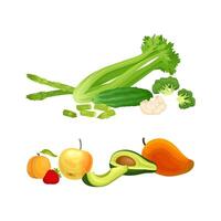 Green Vegetables with Celery and Cucumber and Fruit with Mango and Avocado Set vector