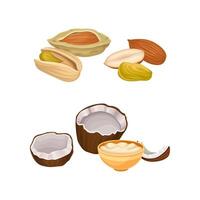 Nuts in Shell with Almond and Pistachio and Coconut Set vector