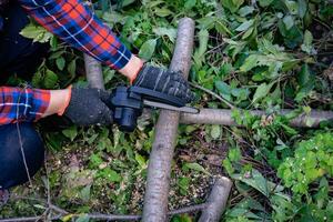 A man in gloves saws a wooden tree trunk with a saw. Gardening work. photo