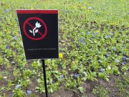 Clear symbolic sign with crossed out flower against a vivid field illustrates effective visual communication in public spaces, promoting intuitive rule following in urban parks photo