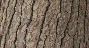 Tree bark texture, excellent for digital backgrounds, forest-themed print materials, or educational botanical content. photo