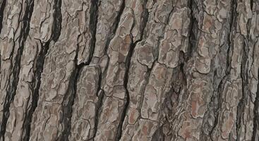 Tree bark texture, ideal for forest visuals, brochures, or nature-based storytelling. photo