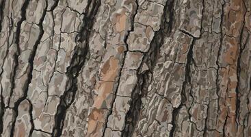 Tree bark texture, ideal for use in nature backgrounds, rustic design projects, eco branding, or outdoor-themed websites. photo