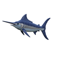 A majestic marlin with its elongated bill and streamlined body against a plain backdrop view image on transparent background png