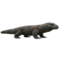 A large komodo dragon standing on a surface with a neutral color scheme and a long striped tail on transparent background png