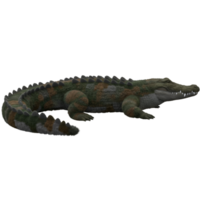 A full body view of a crocodile with mottled green and brown skin resting in a neutral setting on transparent background png