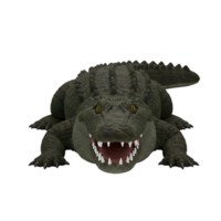 A menacing alligator with sharp teeth and yellow eyes staring forward on a plain setting view image on transparent background png